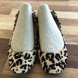 Steve Madden Leopard Print Ballet Flats in Tan and Black